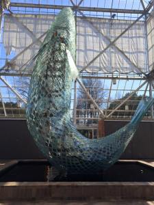 11033869_10153148328270791_9061341782718937056_n