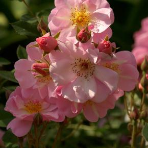 149410_40b1285f19bd56977b3e041396935be1_mdsq