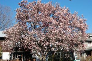 1934931_86230505790_2669419_n