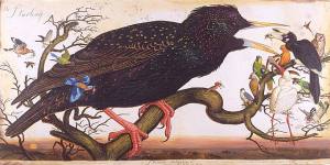 2226697604_7c2c70c892_o