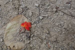 314189_10151263217495791_292926688_n