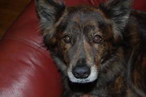 988812_10152080108095791_20763002_n