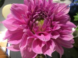 1620762_10152576895615791_2856580120207089317_n