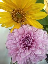 60669_10152617810315791_5419742138465156012_n