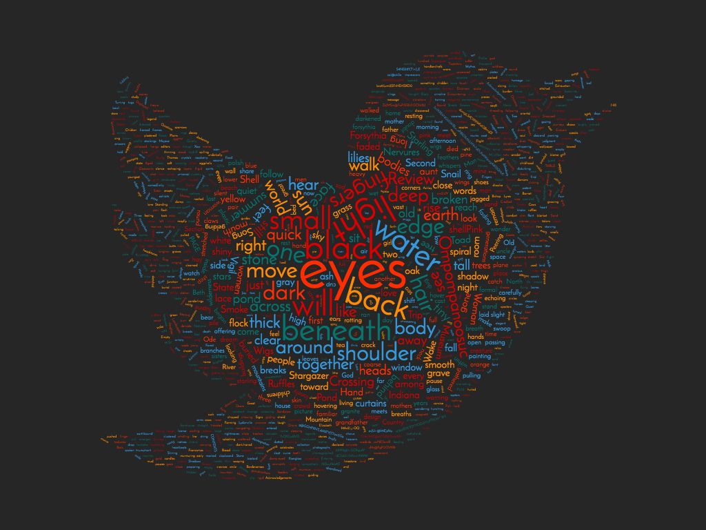 wordcloud