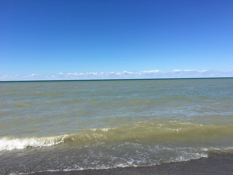 13891887_10154214987620791_8092578409467911441_n