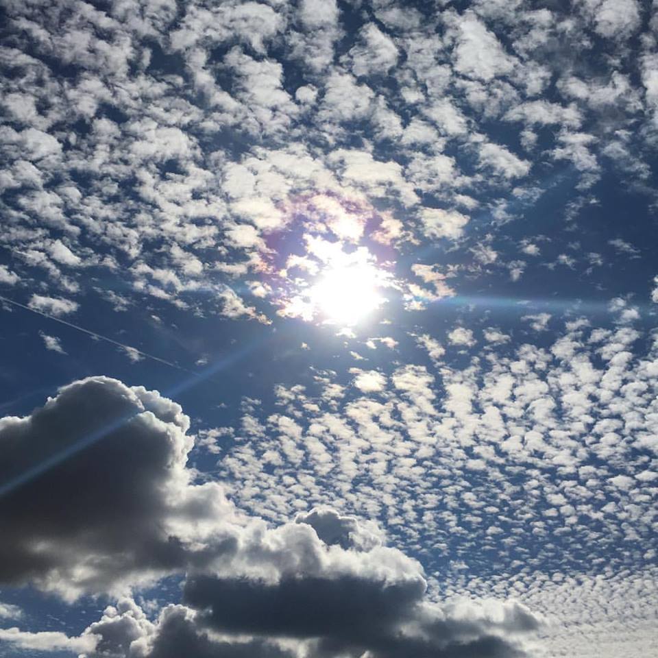 15027845_10154491460125791_4786902239556224990_n